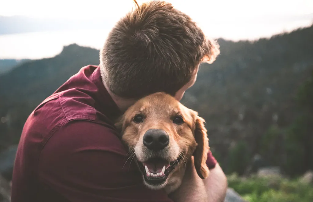 Pet Grief Counseling Training Building Skills to Support Pet Owners Through Loss