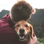Pet Grief Counseling Training Building Skills to Support Pet Owners Through Loss